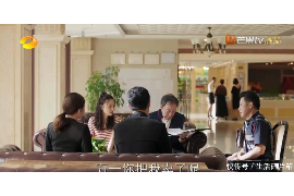 横县横县的要账公司在催收过程中的策略和技巧有哪些？